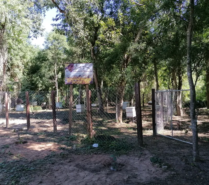 img 20230602 124555 1