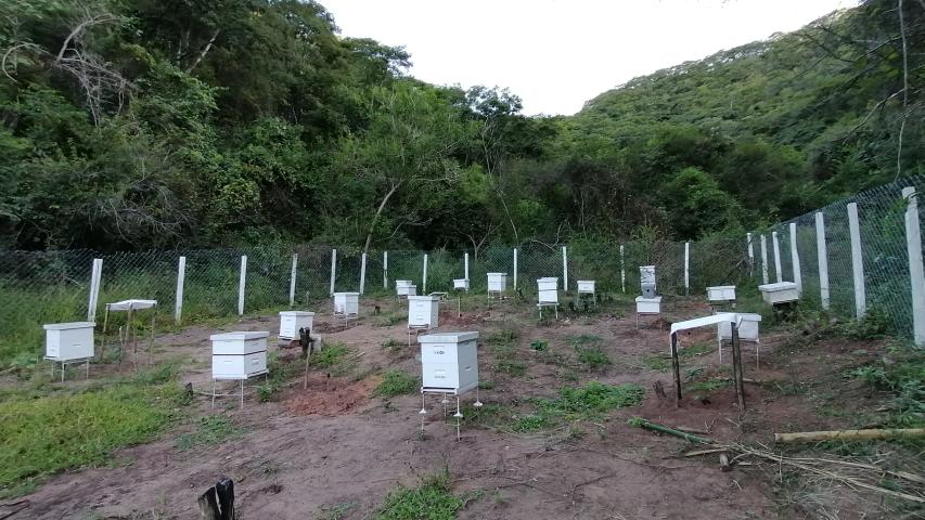 img 20230602 164514 1