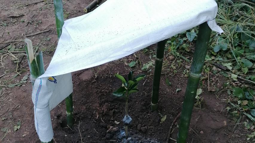 img 20230602 164647 1
