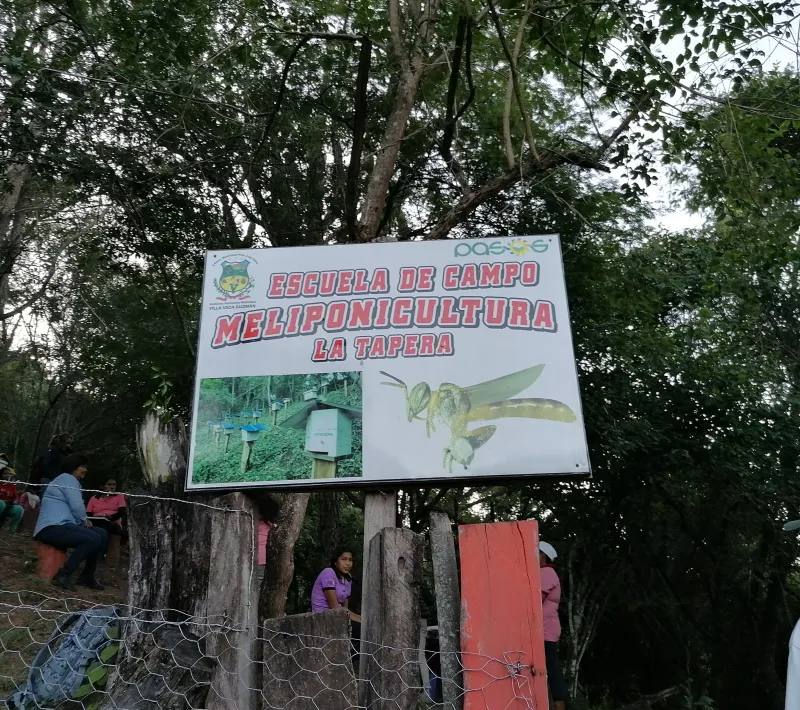 img 20230602 171742 1