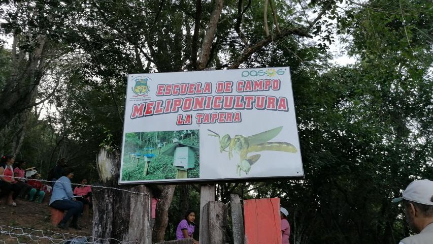 img 20230602 171742 1
