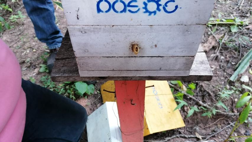 img 20230602 172024 1