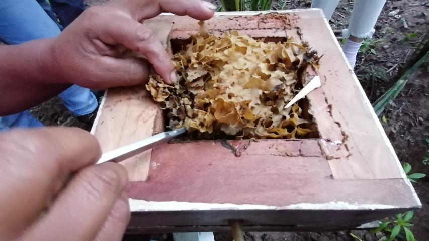 img 20230602 172258 1