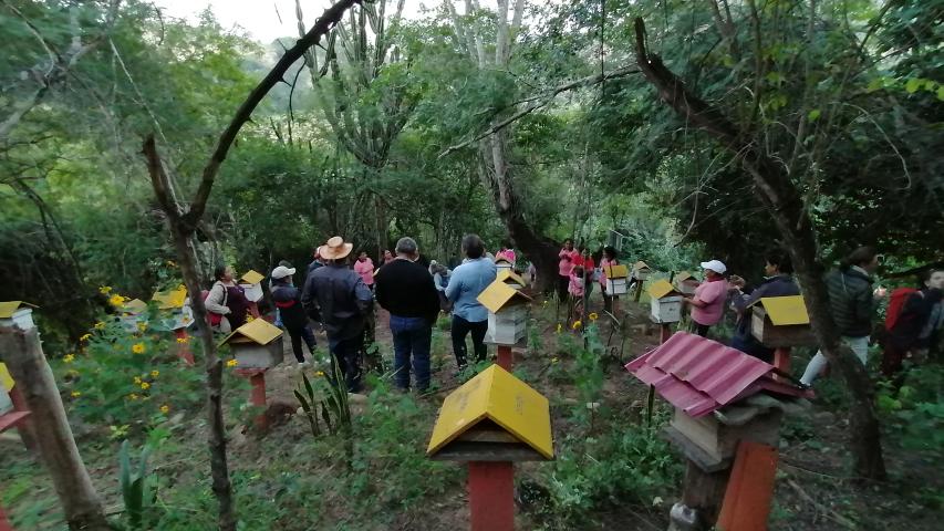 img 20230602 172931 1