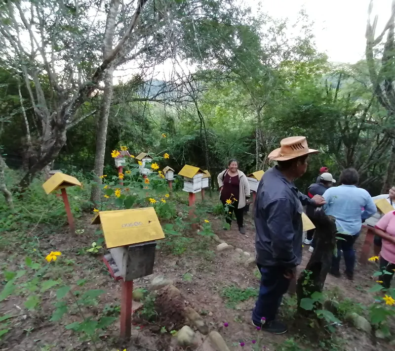 img 20230602 173100 1