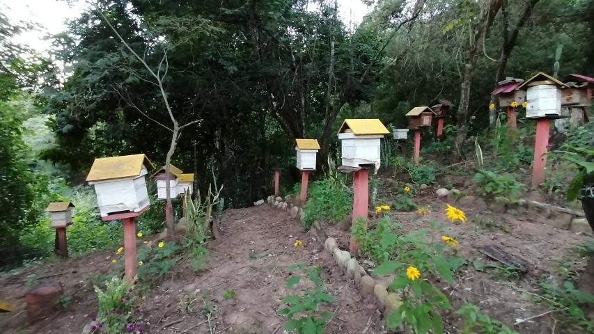 img 20230602 173206 1