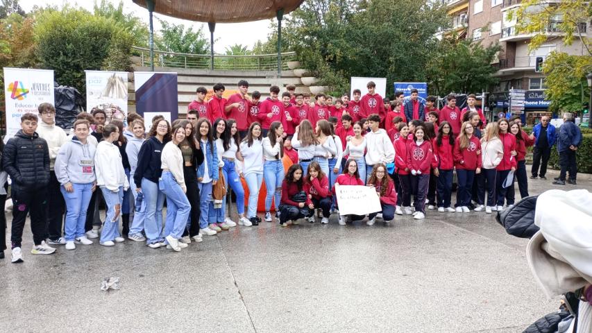 img 20241017 122738