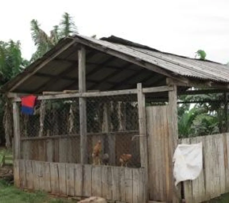 El proyecto de Manos Unidas en Paraguay contempla la educación.
