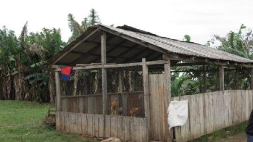 El proyecto de Manos Unidas en Paraguay contempla la educación.