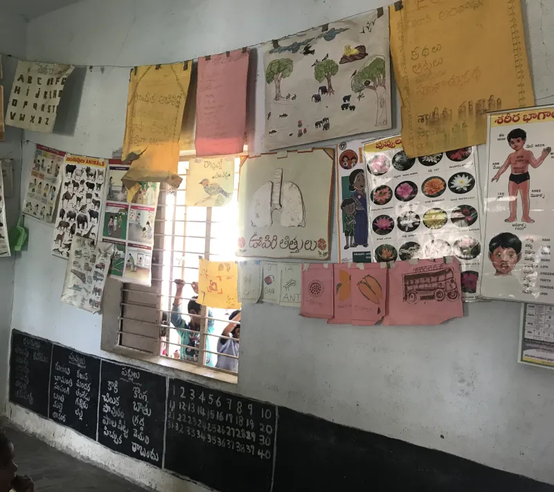 Empoderamiento comunitario y mejora socio económica de población tribal en Telangana. India.