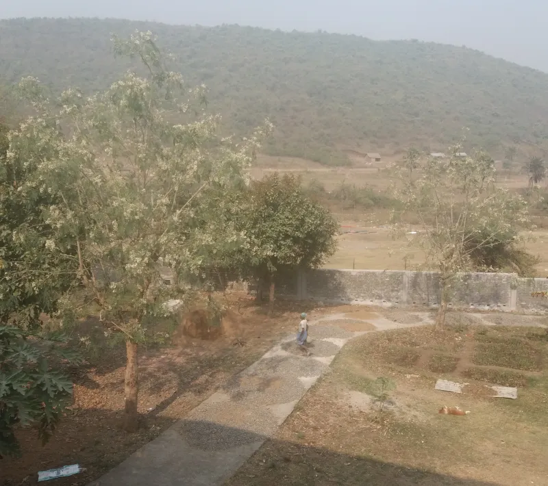 ind 71674 vista 1