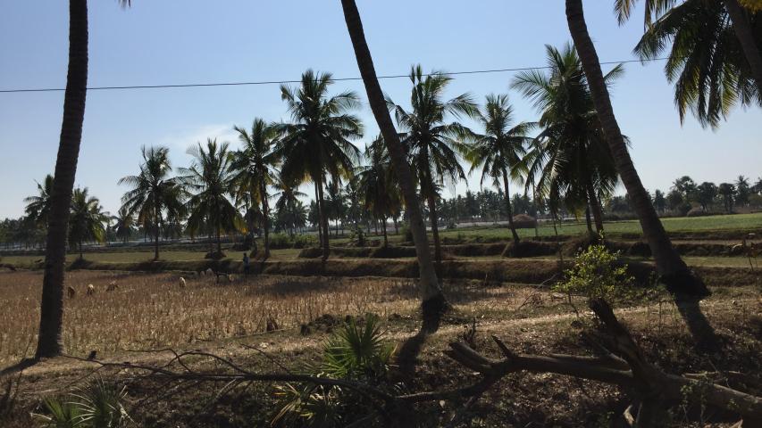 ind 73235 19