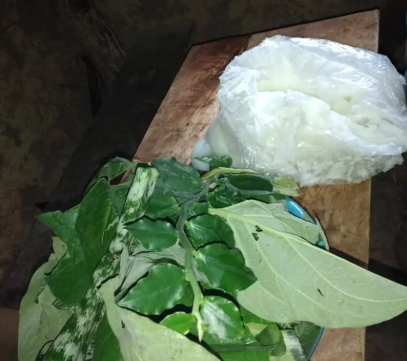 ingredientes para elaboracion