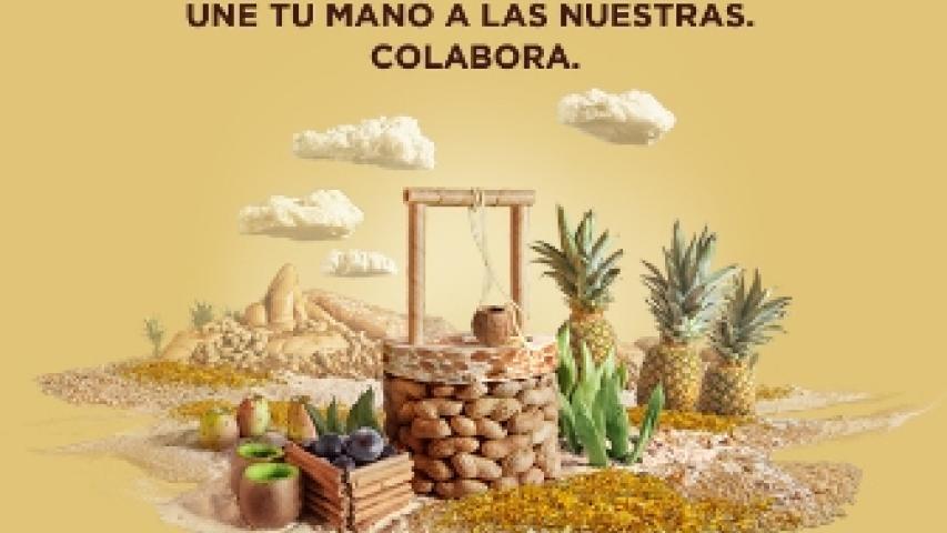 instagram campanamarcapozo