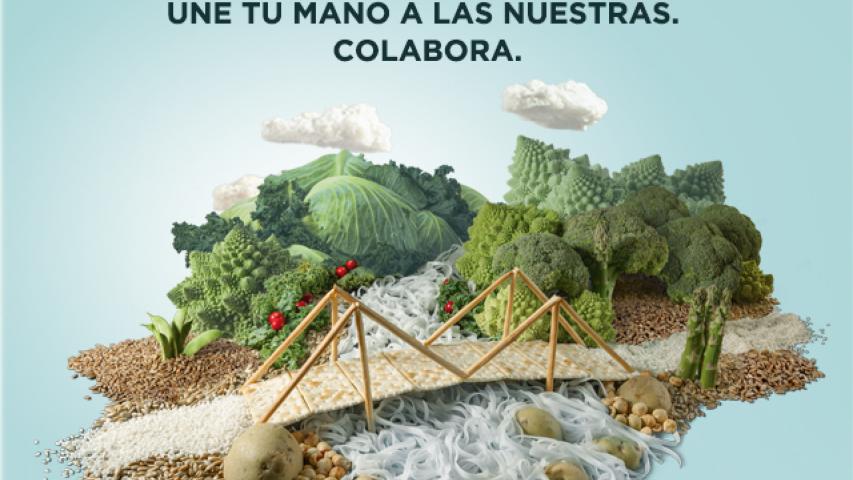 instagram campanamarcapuente