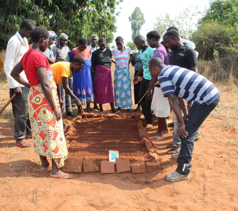 jelis agro ecology champion cancewa group demonstrate plantting in the nursery bed