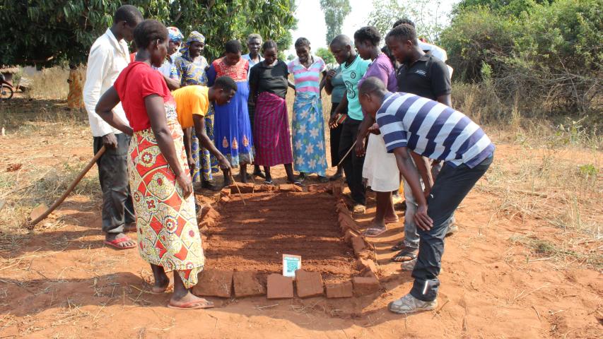 jelis agro ecology champion cancewa group demonstrate plantting in the nursery bed
