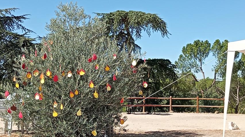 Jornada de Oración por el Cuidado de la Creación en Madrid  2022