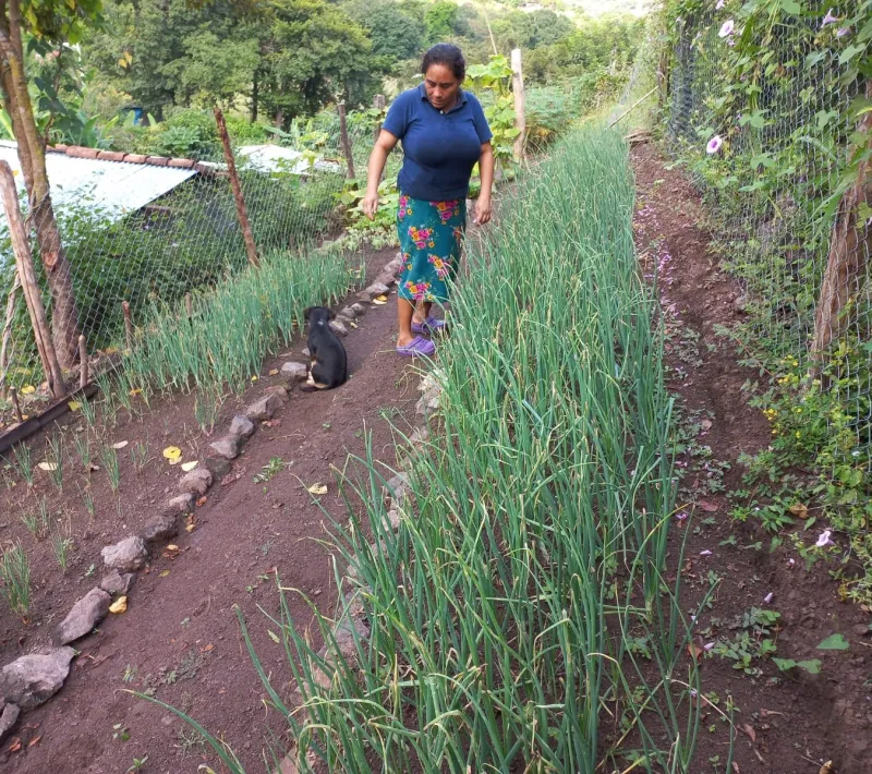 madre con su cultivo de patio
