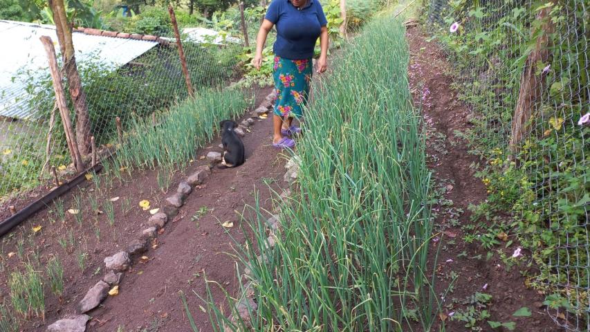 madre con su cultivo de patio