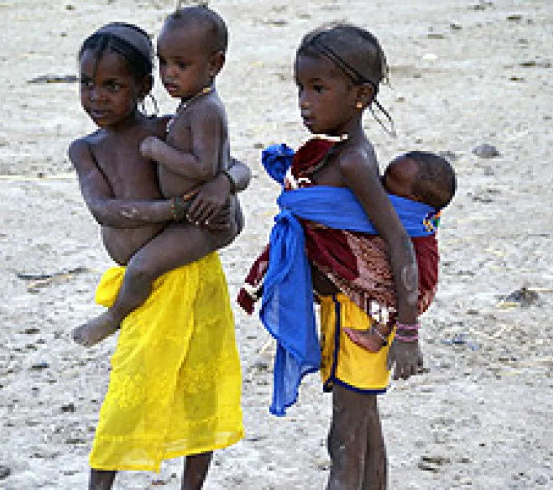mali 317