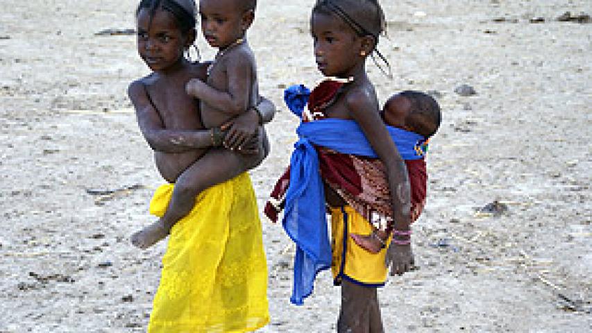 mali 317