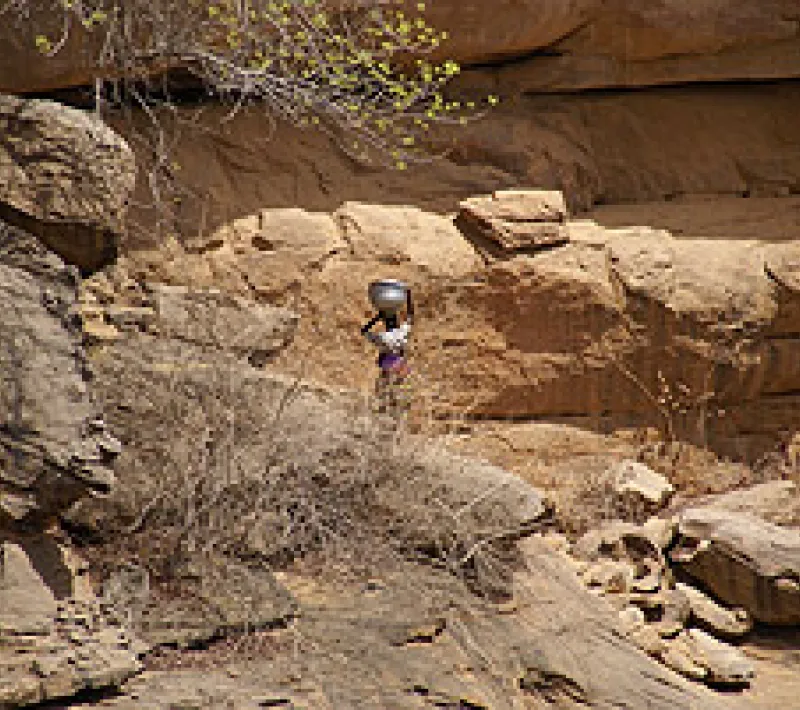mali 469
