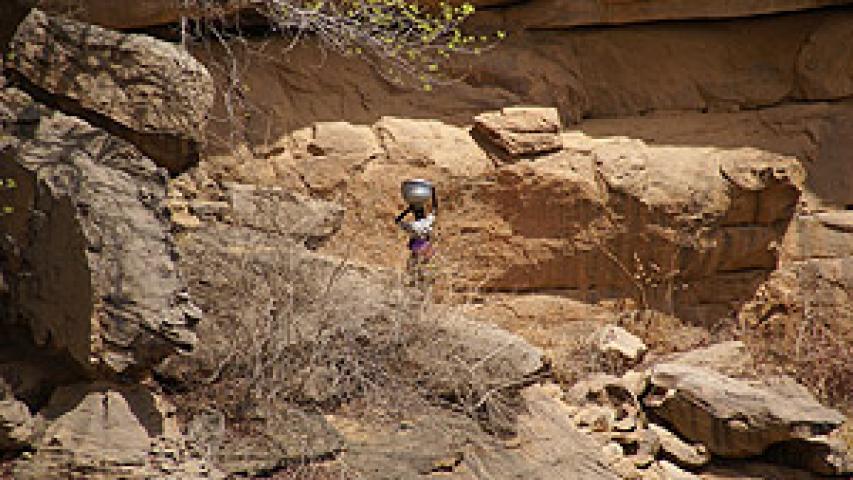 mali 469