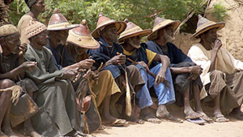mali 556