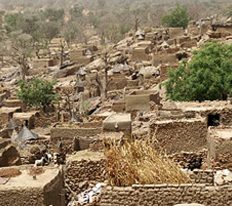 mali 599