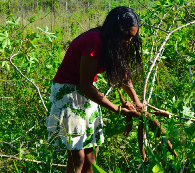 manos unidas dia internacional convivencia paz 2022 colombia mujer indigena yuca