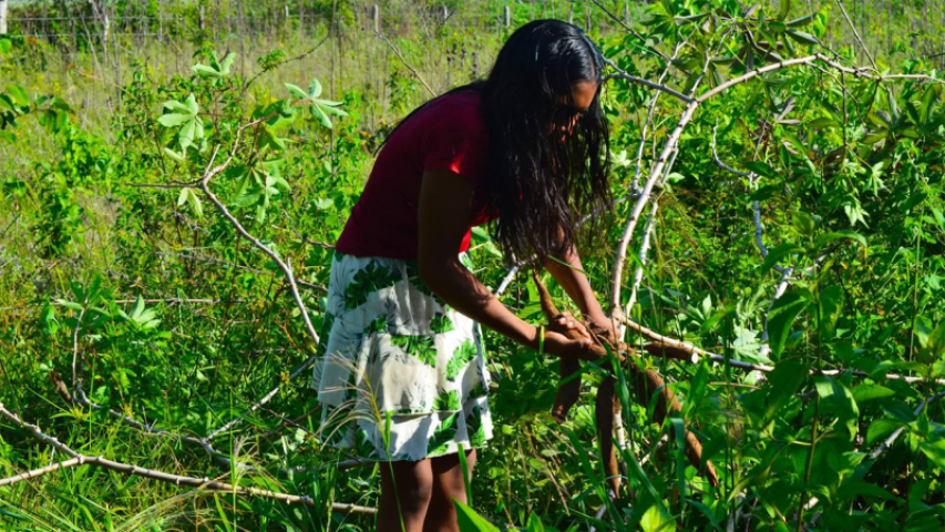 manos unidas dia internacional convivencia paz 2022 colombia mujer indigena yuca