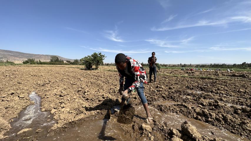 Un grupo de chicos labra la tierra en la localidad de Wukro (Tigray). Foto: Manos Unidas/Marta Carreño
