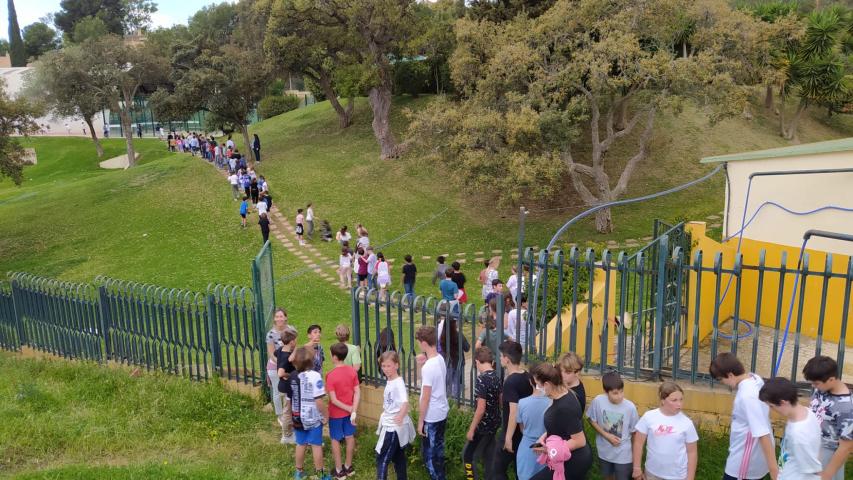 marcha solidaria 37