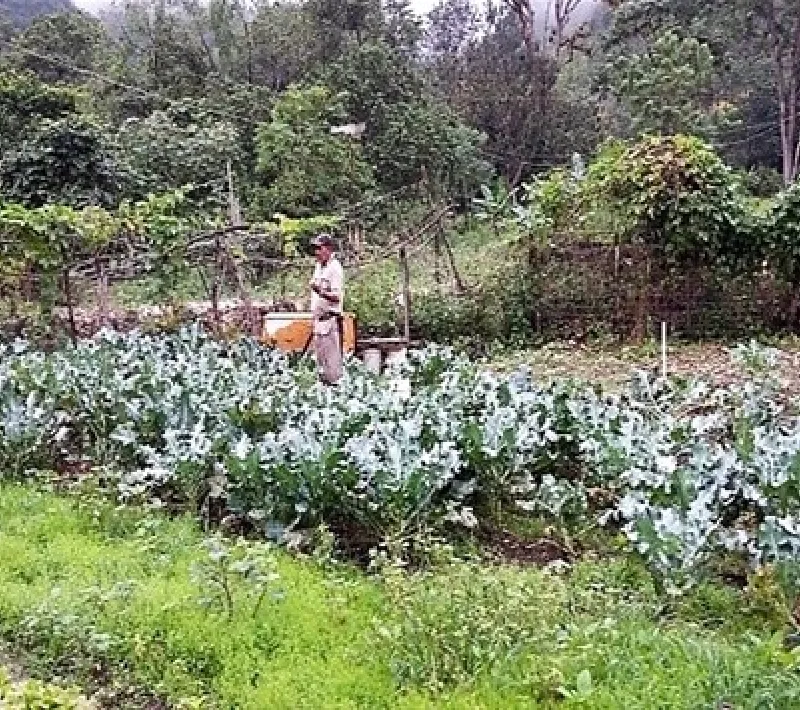 Promoción de agroecología en comunidades con escasos recursos y alto desempleo. Manos Unidas Valencia