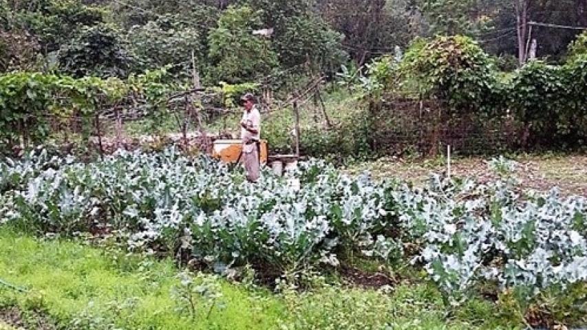 Promoción de agroecología en comunidades con escasos recursos y alto desempleo. Manos Unidas Valencia