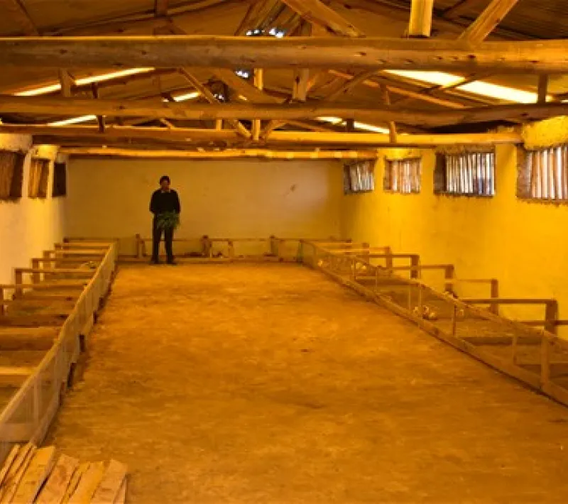 med dsc 0234