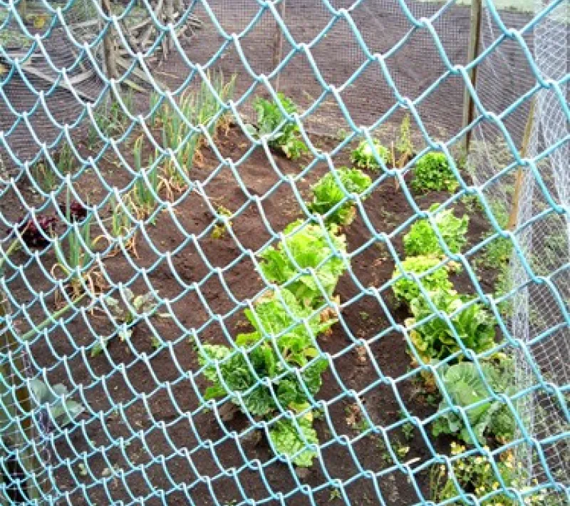 med img 20220603 122256 667 1