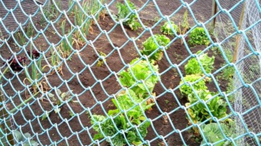 med img 20220603 122256 667 1