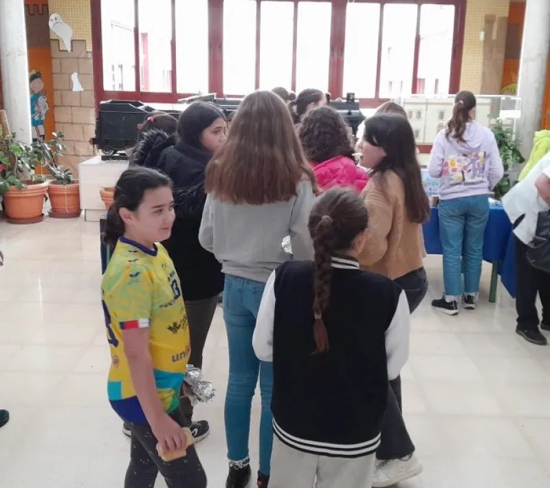 mercadillo1