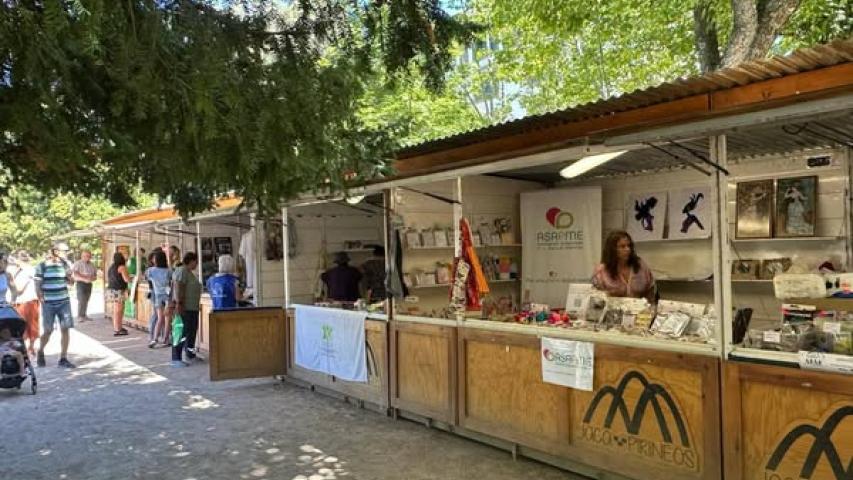 mercadillo 4