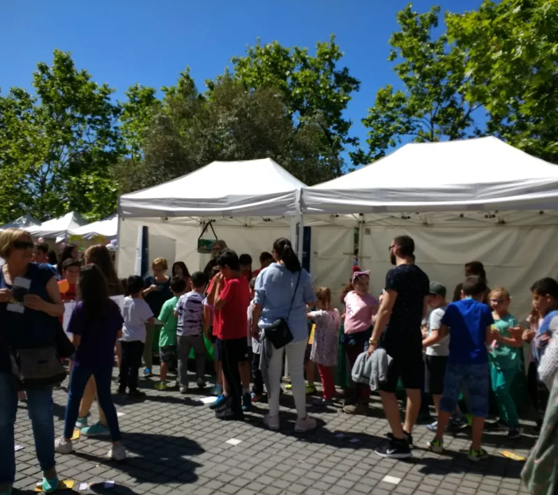 Mercado Cooperativo