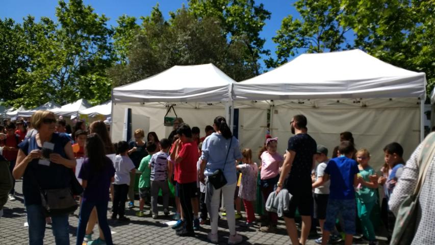 Mercado Cooperativo
