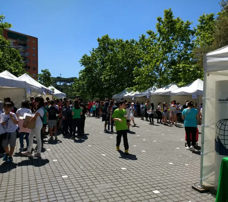 Mercado Cooperativo
