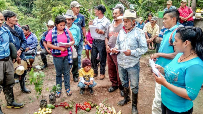 miembros del movimiento indigena lenca de la paz milpa foto raquel carballo manos unidas 1300x700