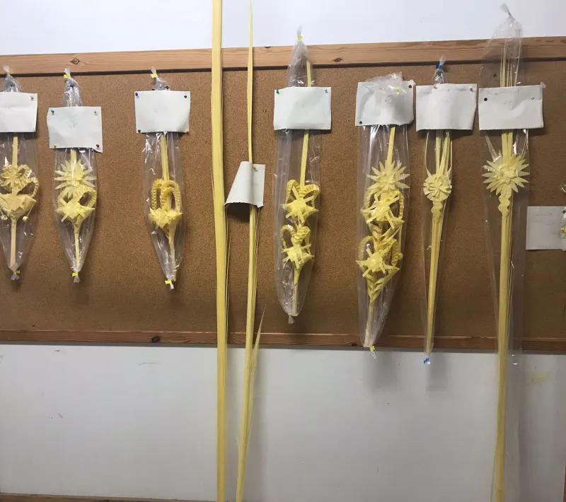 modelos de palmas