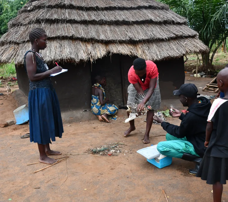 mrs. ouchi teddy takes on vaccination records as the sub county vets does the vaccination