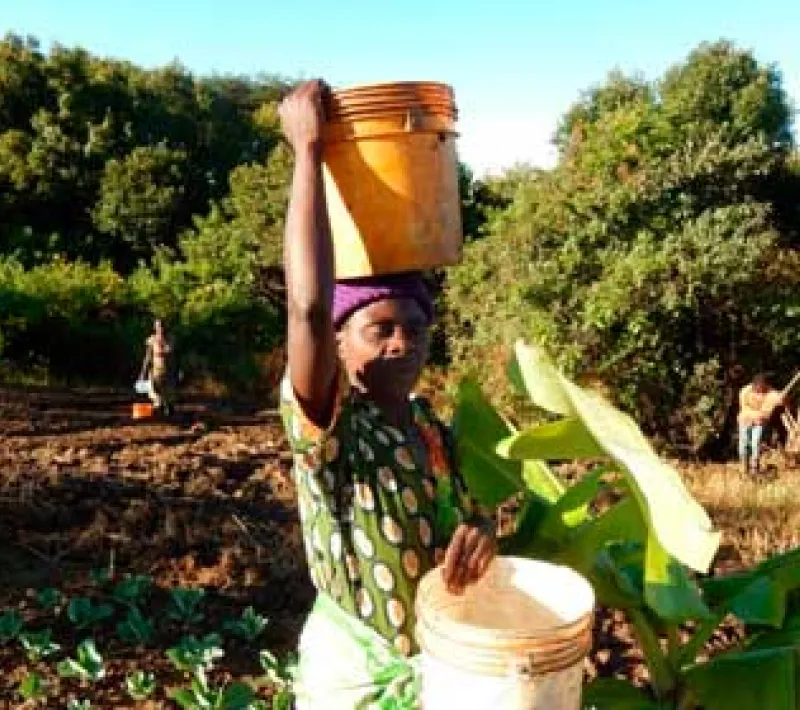 Mujer trabajando en los huertos en Kilela Balanda