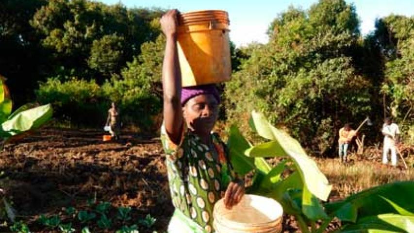 Mujer trabajando en los huertos en Kilela Balanda