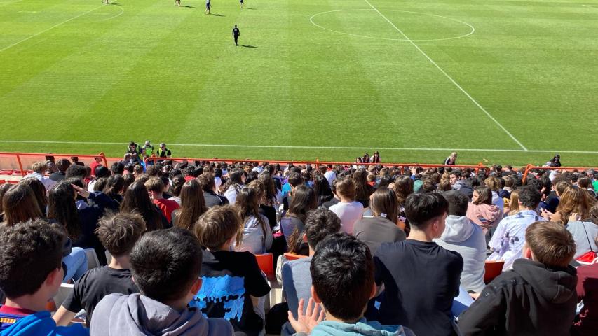nastic 3